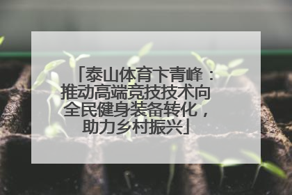 泰山体育卞青峰：推动高端竞技技术向全民健身装备转化，助力乡村振兴