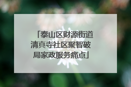 泰山区财源街道清真寺社区聚智破局家政服务痛点