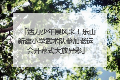 活力少年展风采！乐山新建小学武术队参加老运会开幕式大放异彩