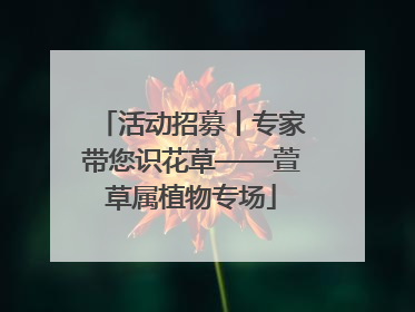 活动招募丨专家带您识花草——萱草属植物专场