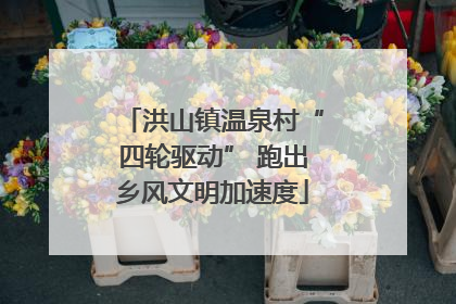 洪山镇温泉村“四轮驱动” 跑出乡风文明加速度