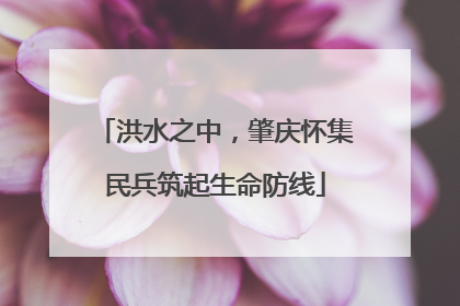 洪水之中，肇庆怀集民兵筑起生命防线