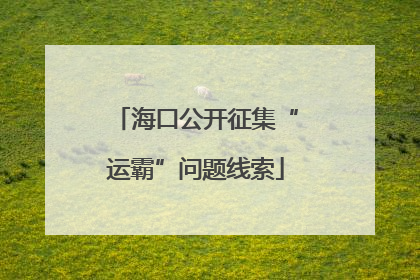 海口公开征集“运霸”问题线索