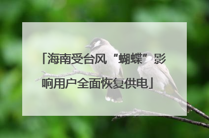 海南受台风“蝴蝶”影响用户全面恢复供电