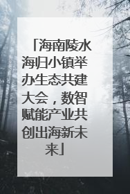 海南陵水海归小镇举办生态共建大会，数智赋能产业共创出海新未来