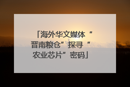 海外华文媒体“晋南粮仓”探寻“农业芯片”密码