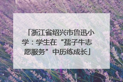 浙江省绍兴市鲁迅小学：学生在“孺子牛志愿服务”中历练成长