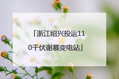 浙江绍兴投运110千伏谢慕变电站