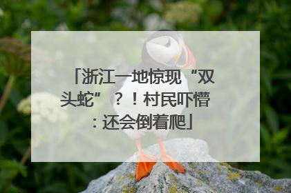 浙江一地惊现“双头蛇”？！村民吓懵：还会倒着爬