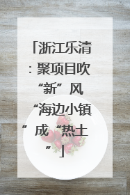 浙江乐清：聚项目吹“新”风 “海边小镇”成“热土”