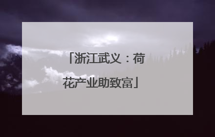 浙江武义：荷花产业助致富
