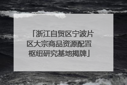 浙江自贸区宁波片区大宗商品资源配置枢纽研究基地揭牌