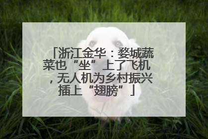 浙江金华：婺城蔬菜也“坐”上了飞机，无人机为乡村振兴插上“翅膀”