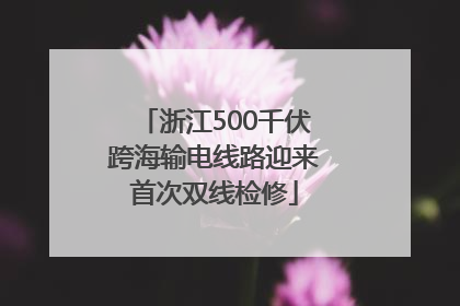浙江500千伏跨海输电线路迎来首次双线检修