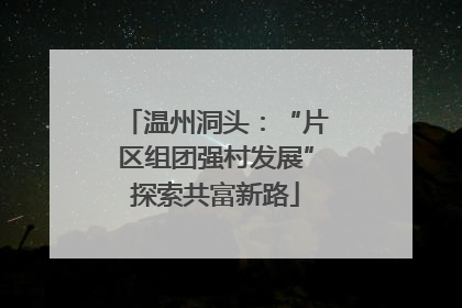 温州洞头：“片区组团强村发展”探索共富新路