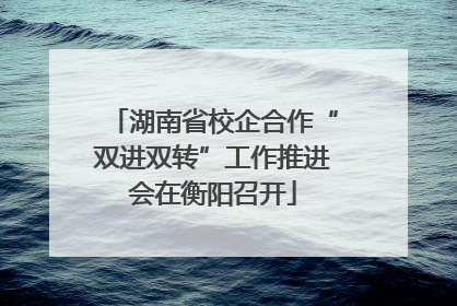 湖南省校企合作“双进双转”工作推进会在衡阳召开