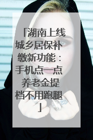 湖南上线城乡居保补缴新功能：手机点一点 养老金提档不用跑腿