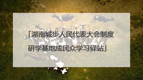 湖南城步人民代表大会制度研学基地成民众学习驿站