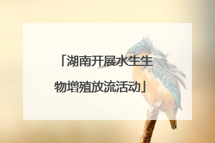 湖南开展水生生物增殖放流活动