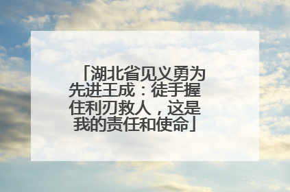 湖北省见义勇为先进王成：徒手握住利刃救人，这是我的责任和使命