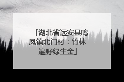 湖北省远安县鸣凤镇北门村：竹林遍野绿生金