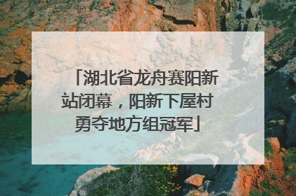 湖北省龙舟赛阳新站闭幕，阳新下屋村勇夺地方组冠军