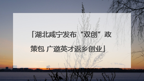 湖北咸宁发布“双创”政策包 广邀英才返乡创业