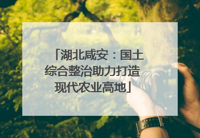 湖北咸安：国土综合整治助力打造现代农业高地