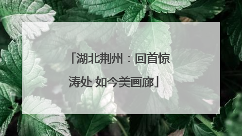湖北荆州：回首惊涛处 如今美画廊