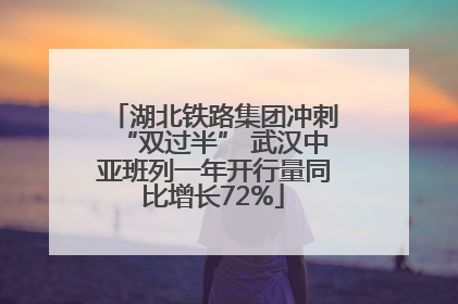 湖北铁路集团冲刺“双过半” 武汉中亚班列一年开行量同比增长72%