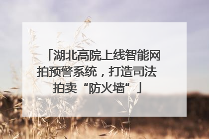 湖北高院上线智能网拍预警系统，打造司法拍卖“防火墙”