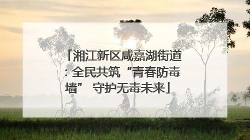 湘江新区咸嘉湖街道：全民共筑“青春防毒墙” 守护无毒未来
