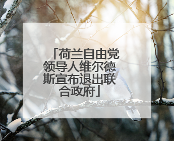 荷兰自由党领导人维尔德斯宣布退出联合政府