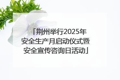 荆州举行2025年安全生产月启动仪式暨安全宣传咨询日活动