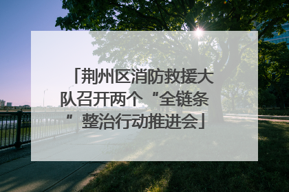 荆州区消防救援大队召开两个“全链条”整治行动推进会