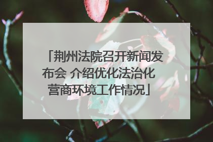 荆州法院召开新闻发布会 介绍优化法治化营商环境工作情况