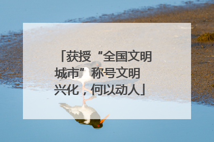 获授“全国文明城市”称号文明 兴化，何以动人