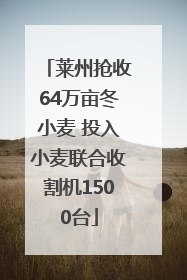 莱州抢收64万亩冬小麦 投入小麦联合收割机1500台