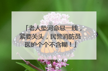老人坠河命悬一线，紧要关头，民警消防员医护个个不含糊！