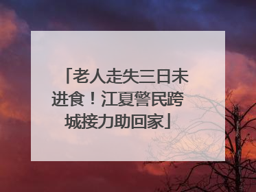 老人走失三日未进食！江夏警民跨城接力助回家