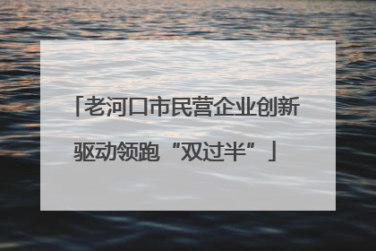 老河口市民营企业创新驱动领跑“双过半”