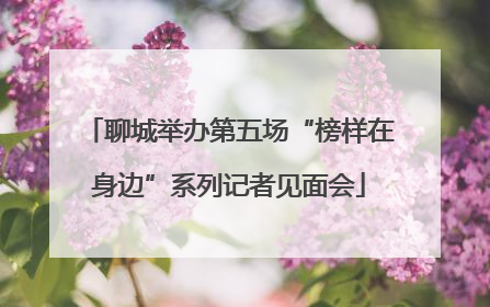 聊城举办第五场“榜样在身边”系列记者见面会