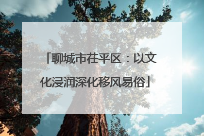 聊城市茌平区：以文化浸润深化移风易俗