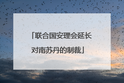联合国安理会延长对南苏丹的制裁