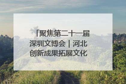 聚焦第二十一届深圳文博会｜河北创新成果拓展文化产业“朋友圈”