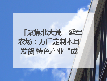 聚焦北大荒｜延军农场：万斤定制木耳发货 特色产业“成绩单”亮眼