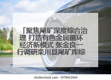 聚焦尾矿深度综合治理 打造有色金属循环经济新模式 张金良一行调研栾川县尾矿库综合治理工作