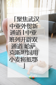 聚焦武汉中亚外贸新通道│中亚班列开辟双通道 哈萨克斯坦饲用小麦将抵鄂