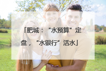 肥城：“水预算”定盘，“水银行”活水