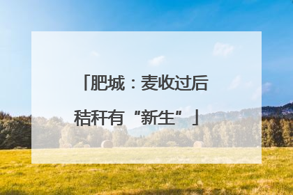 肥城：麦收过后秸秆有“新生”